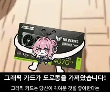 그래픽카드가 도로롱을 가져왔습니다.jpg