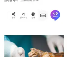 5300년전 냉동 미라 효모로 만든 빵 성공