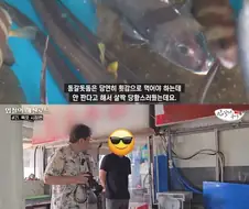 손님한테 대놓고 동갈돗돔 회 팔지 않겠다는 상인