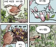 모성애가 없는 엄마새.Manhwa