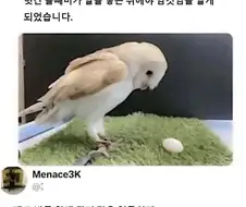 남자인 줄 알았던 애가 사실 여자였다 클리셰.jpg