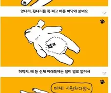 아동 만화로 알아보는 강아지 수면 자세를 통한 심리 상태