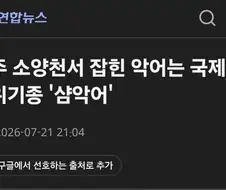 얼마전 탈주했던 악어의 정체
