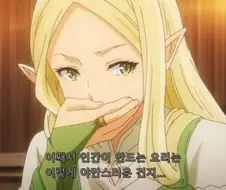 인간에게 타락해버린 엘프..