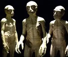 미국은 거대한 실험장이고 미국인들은 실험쥐인걸까