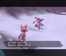 포켓몬. 어느 옛날 히스이지방의 한카리아스 아빠와 아들