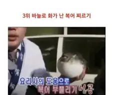 미쳐버린 2000년대 초 예능 동물실험