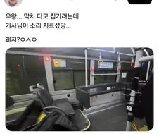 버스기사가 비명을 지르게된 이유.