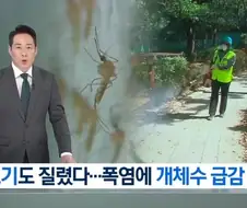 폭염으로 딱 한 가지 좋은 거