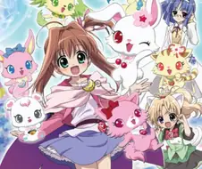 쥬얼펫 트윙클 - Happy☆트윙클