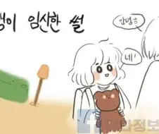 초등학생이 임신한 썰.manhwa