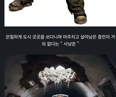 다음 중 포스트 아포칼립스 세계에서 마주쳤을때 제일 무서운것은?