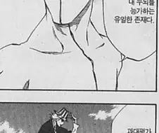 블리치) 세계관 최고 지능캐가 같은 최고 지능캐를 칭찬하는 장면