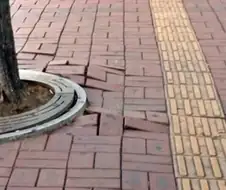 비오고 난 후 지뢰밭같은 곳