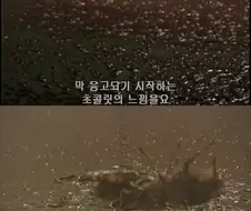 찰리와 초콜릿 공장 촬영 비하인드.jpg