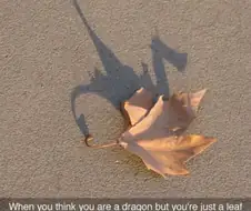 사회에 나가면 느끼는거