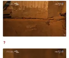 밤마다 밥 먹으러 오는 게