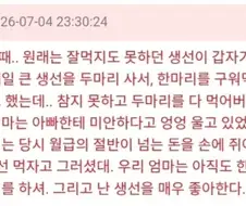 임신했을 때 생선이 너무 먹고싶었던 엄마.jpg