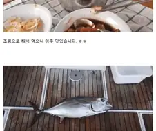 요트로 세계 일주한 한국인의 결말.jpg