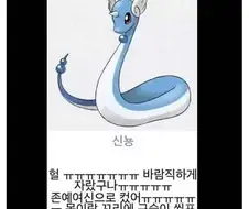 미뇽 같은 와이프