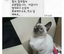 직업만족도 200%