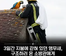 헤이 친구 구하러왔다구!!!