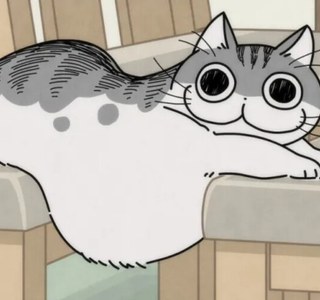 만화랑 애니도 귀엽지만 실물도 귀여운 고양이 큐르가