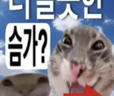 터질듯한 슴가 빨리 들어오셈
