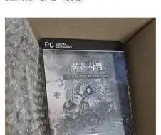 결국 미쳐버린 붉은사막 갤러리.jpg