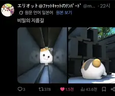 그 구멍에 들어가면 안돼------!