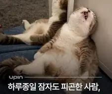 폭식 좋아 모찌찌찌 양 만화 볼 때마다 드는 생각인데 ㅇㅇ;