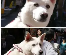 아무일 없듯이~ 스쳐가 줘요~