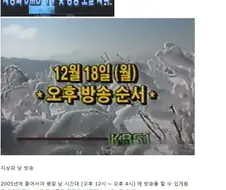 사실 한류국책론에 이렇게 대응하면 됨