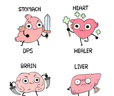 몸 속에 있는 장기들의 롤 역할에 대해 알아보자.manhwa