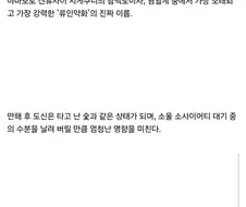 지금 코스어 깔때 조심해야 하는 태도