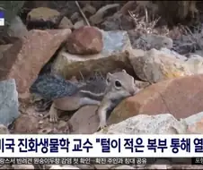 다람쥐가 더울때 하는 일.jpg
