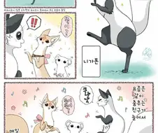 번역)대롱 여우의 울음소리.manhwa