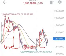 주식) 국장은 고양이 가족이다