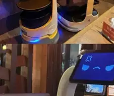 식당에서 종업원끼리 싸움남