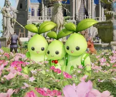 모코코 오빠들과 여동생