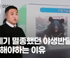 반달곰 복원 사업 보고 느낀 건 정책 실패는 누구도 책임 안 진다임...