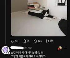 지식의 무게.