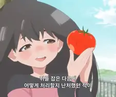 시골에서 쥐를 잡았을 때 처리하는 방법