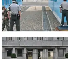 월북한 멍멍이