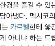 포르자 호라이즌 5 배경이 멕시코라는 말에 나온 드립