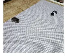 새끼 고양이 크기 딱 요만함