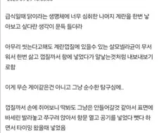 닭이 되고 싶었던 소년