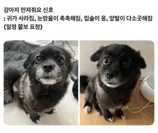 개간절