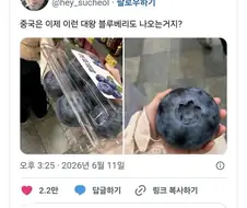 중국에서 판다는 대왕 블루베리