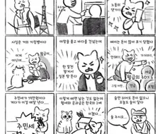 일본 취업의 현실 만화.